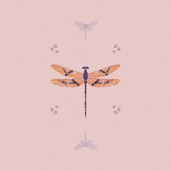 Dragonflies