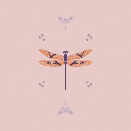 Dragonflies