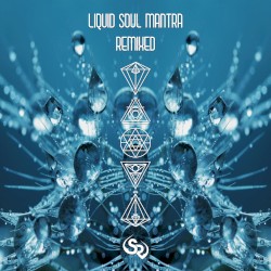 Liquid Soul Mantra Remixed