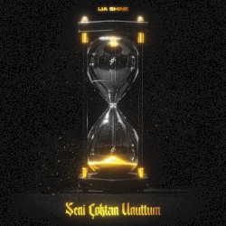 Seni Çoktan Unuttum