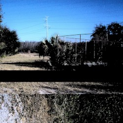 Hillsborough Toll