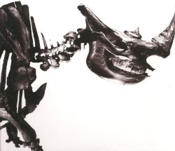 Mr.Children 1996–2000