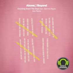 Counting Down the Days (Axis remix)