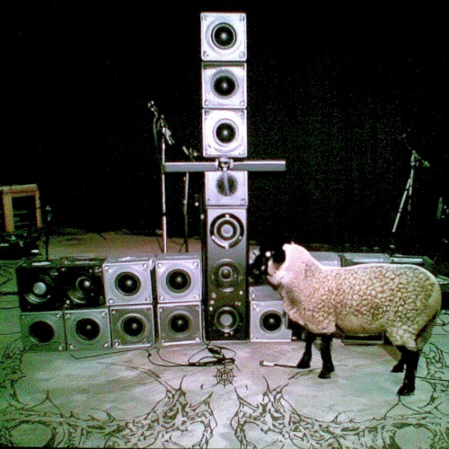 SHEEPSTEP