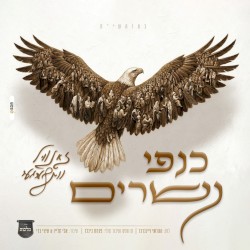 כנפי נשרים