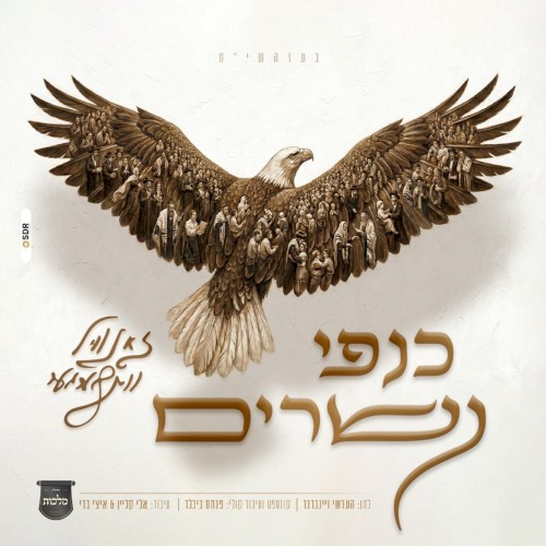 כנפי נשרים