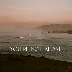 You're Not Alone (James Carter remix)