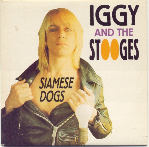Siamese Dogs