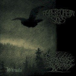Winds
