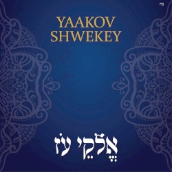 אלקי עז