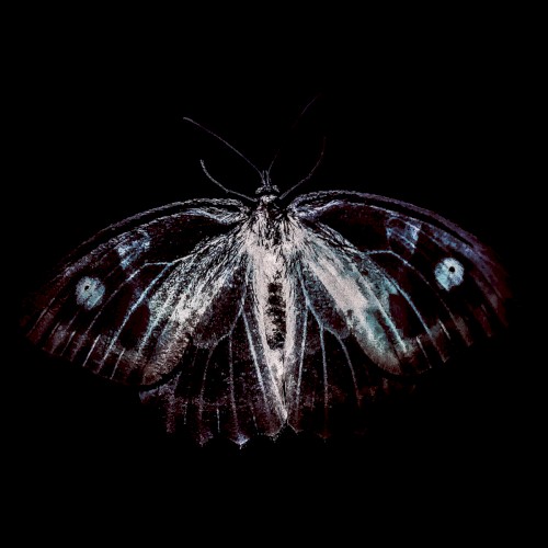 BestiaIRE