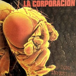 Zona infestata