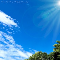 アップアップタイフーン (2022ver.)