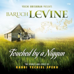 Touched by a Niggun