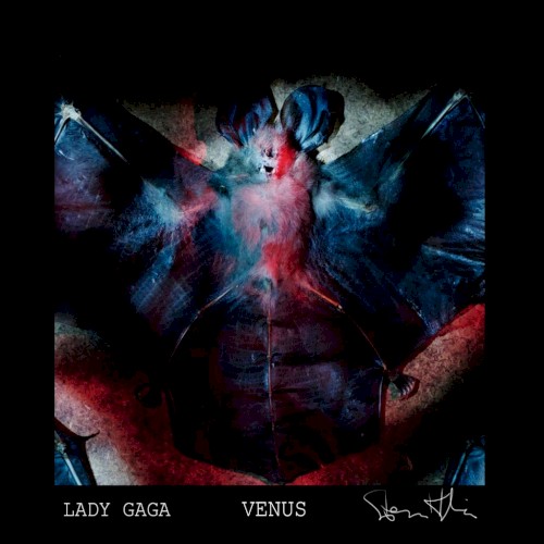 Venus