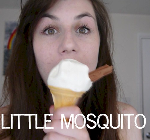 Little Mosquito