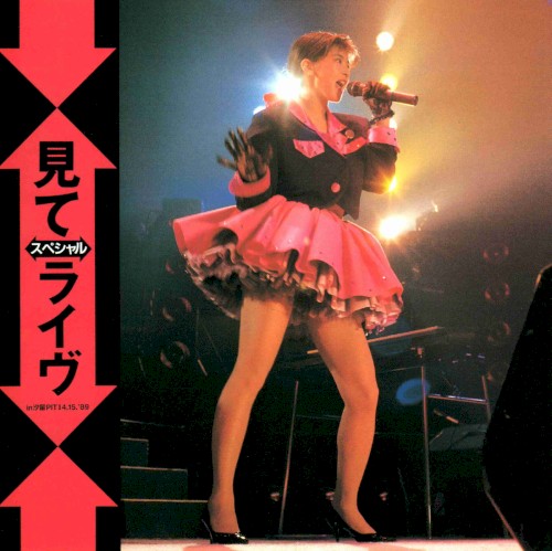 見て ～スペシャル～ ライヴ in 汐留 PIT II 1989.04.15