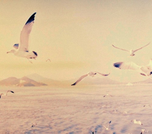 Take the Air
