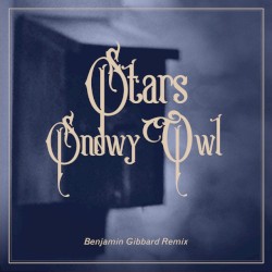 Snowy Owl (Benjamin Gibbard remix)