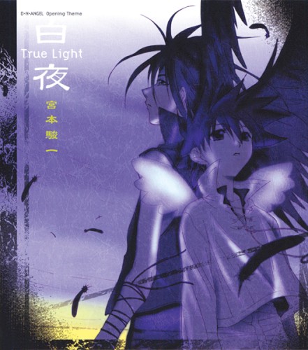 白夜 ～True Light～
