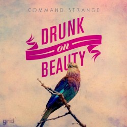 Drunk on Beauty / On the Way