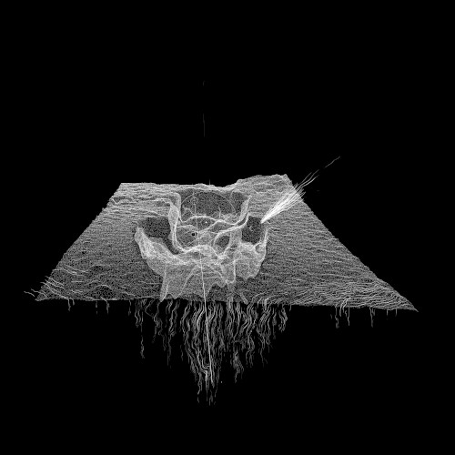 Ztorcq