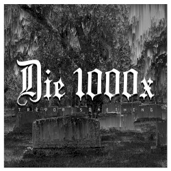 Die 1000x
