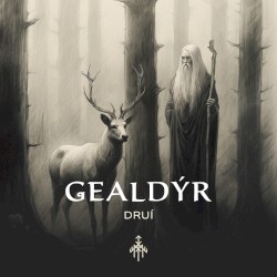 Druí