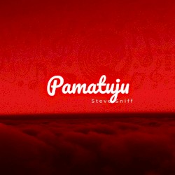Pamatuju