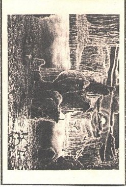 Hallucinatory Executions