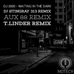 Waiting In The Dark