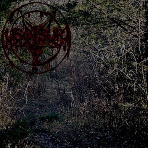 Mirkwood