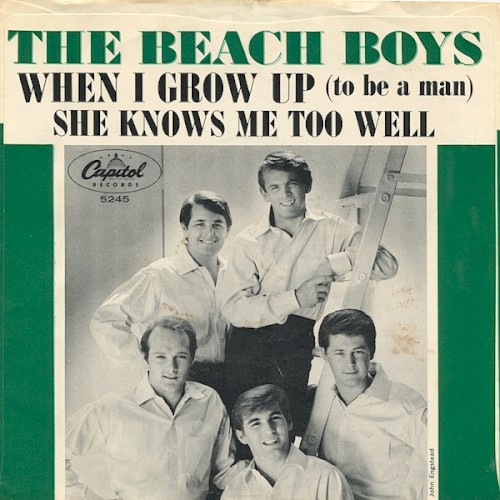 When I Grow Up (to Be a Man)
