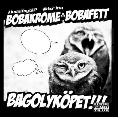 Aludnifogtál? Akkor Itt A Bagolyköpet!!!