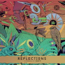 Reflections