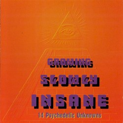 Growing Slowly Insane - 14 Psychedelic Unknowns