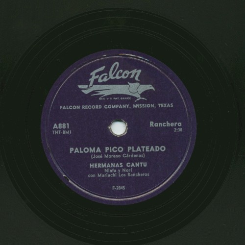 Paloma pico plateado / Quédate esta vez