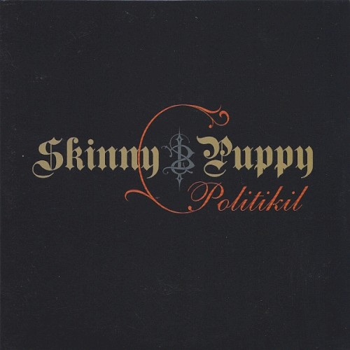 Politikil