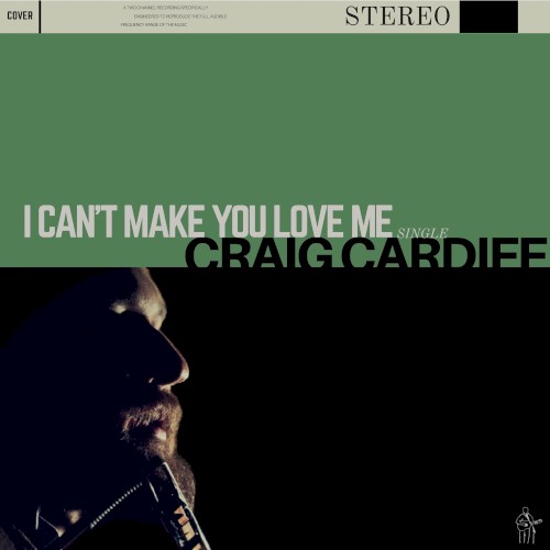 I Can’t Make You Love Me