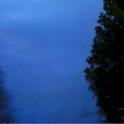 The puddles