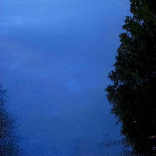 The puddles