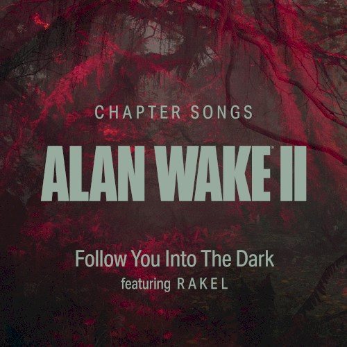 Follow You Into the Dark