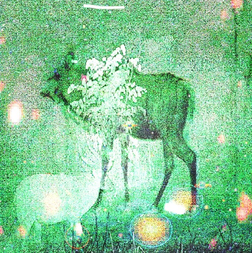 Wombs and Alien Spirits