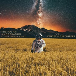Wander in the Wonder