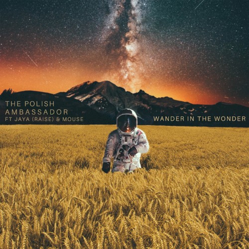 Wander in the Wonder