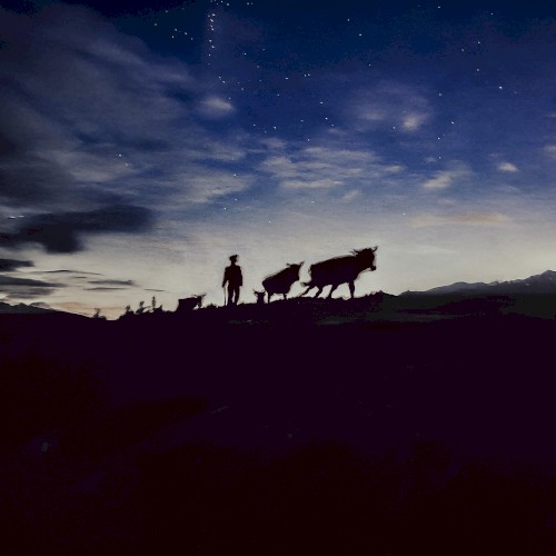 A Shepherds Life