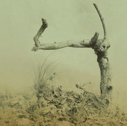 Fragmented Lives