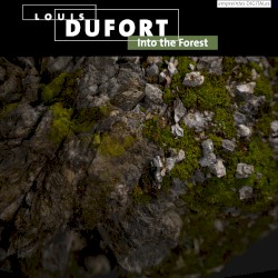 Into the Forest