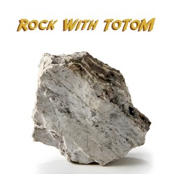 Rock with ToToM