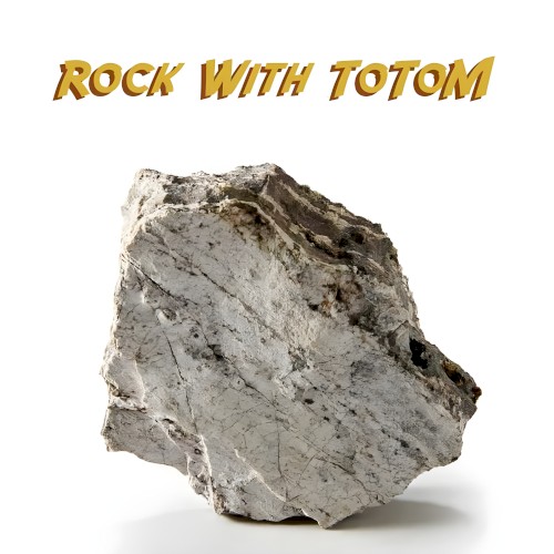 Rock with ToToM